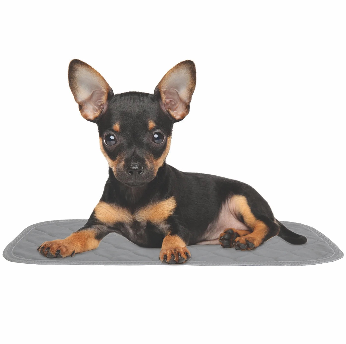 Premium Washable Pet Carrier Pads, Reusable, Waterproof & Absorbent, Dog and Cat Pads for Lining Travel Carriers, Litter Boxes, Pet Crates & More, 17.5" X 11" (Pack of 2)