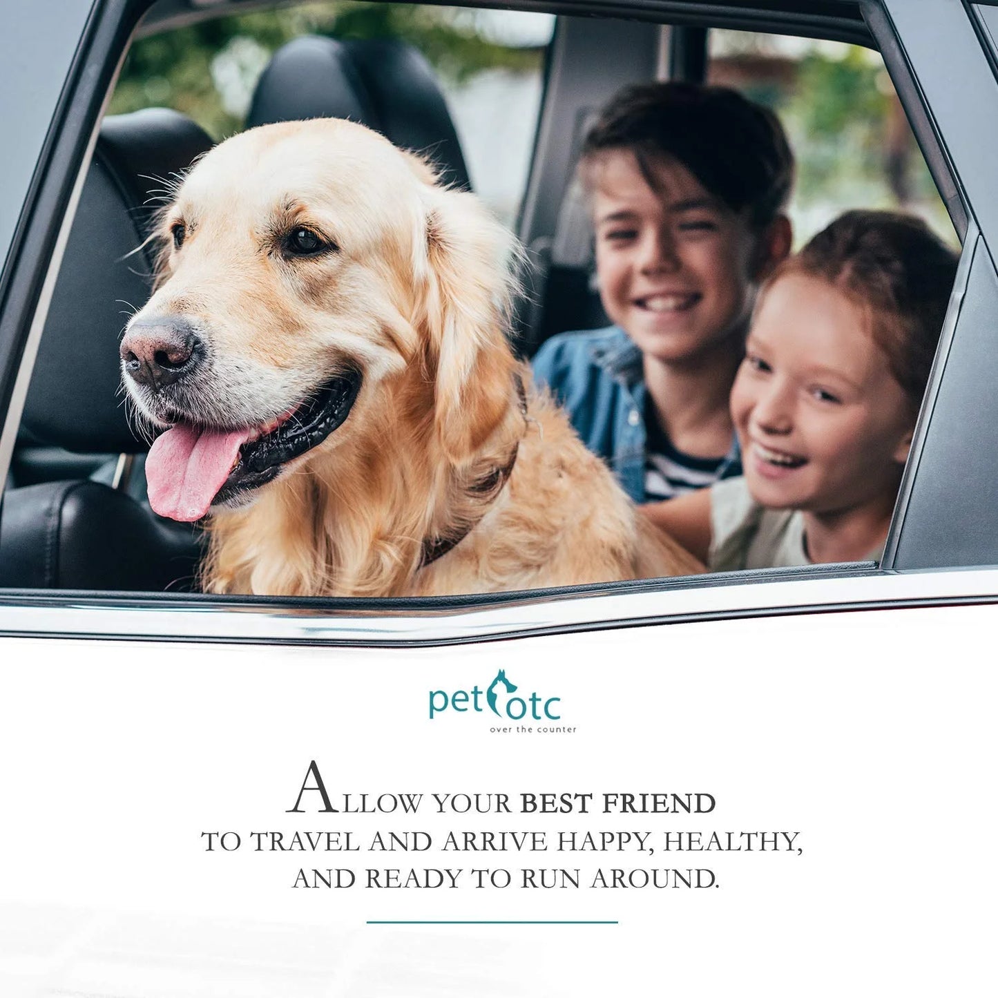 Anti-Motion Sickness and Nausea Relief for Medium Breed Dogs, Relief for Disorientation and Dizziness, 20 Caplets