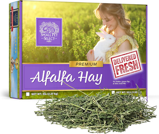 Alfalfa Hay Pet Food for Young Rabbits, Guinea Pigs, Chinchillas, Tortoises and Other Small Animals, Easy to Store Box, 5 LB