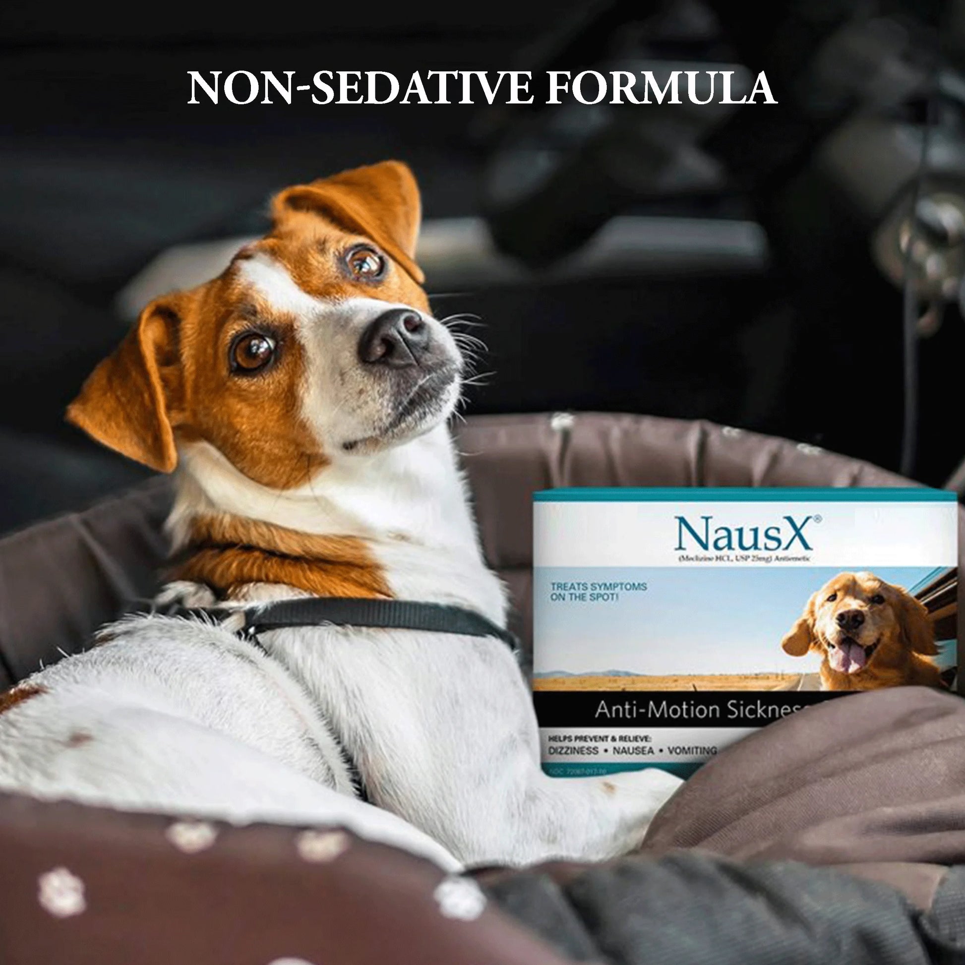 Anti-Motion Sickness and Nausea Relief for Medium Breed Dogs, Relief for Disorientation and Dizziness, 20 Caplets
