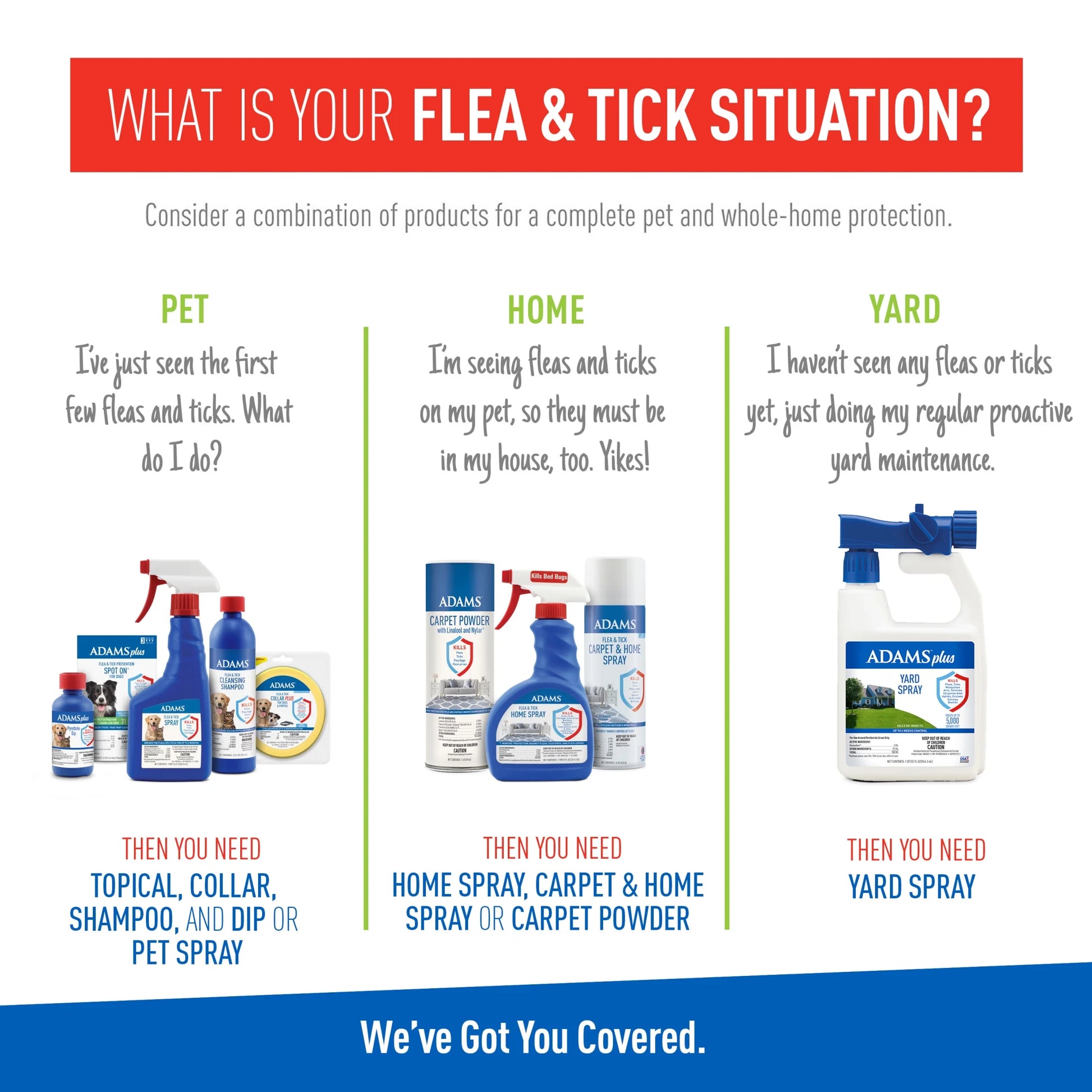 Flea & Tick Cleansing Shampoo for Cats, Flea and Tick Treatment for Cats and Kittens, Unscented, 12 Ounces
